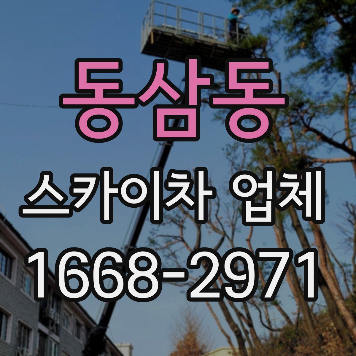 동삼동 스카이차 업체