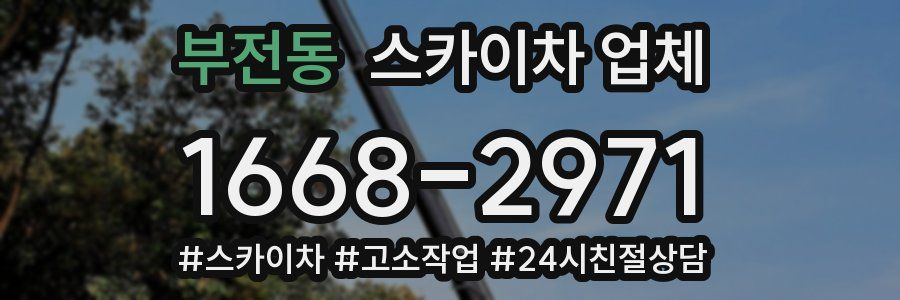 부전동 스카이차 업체