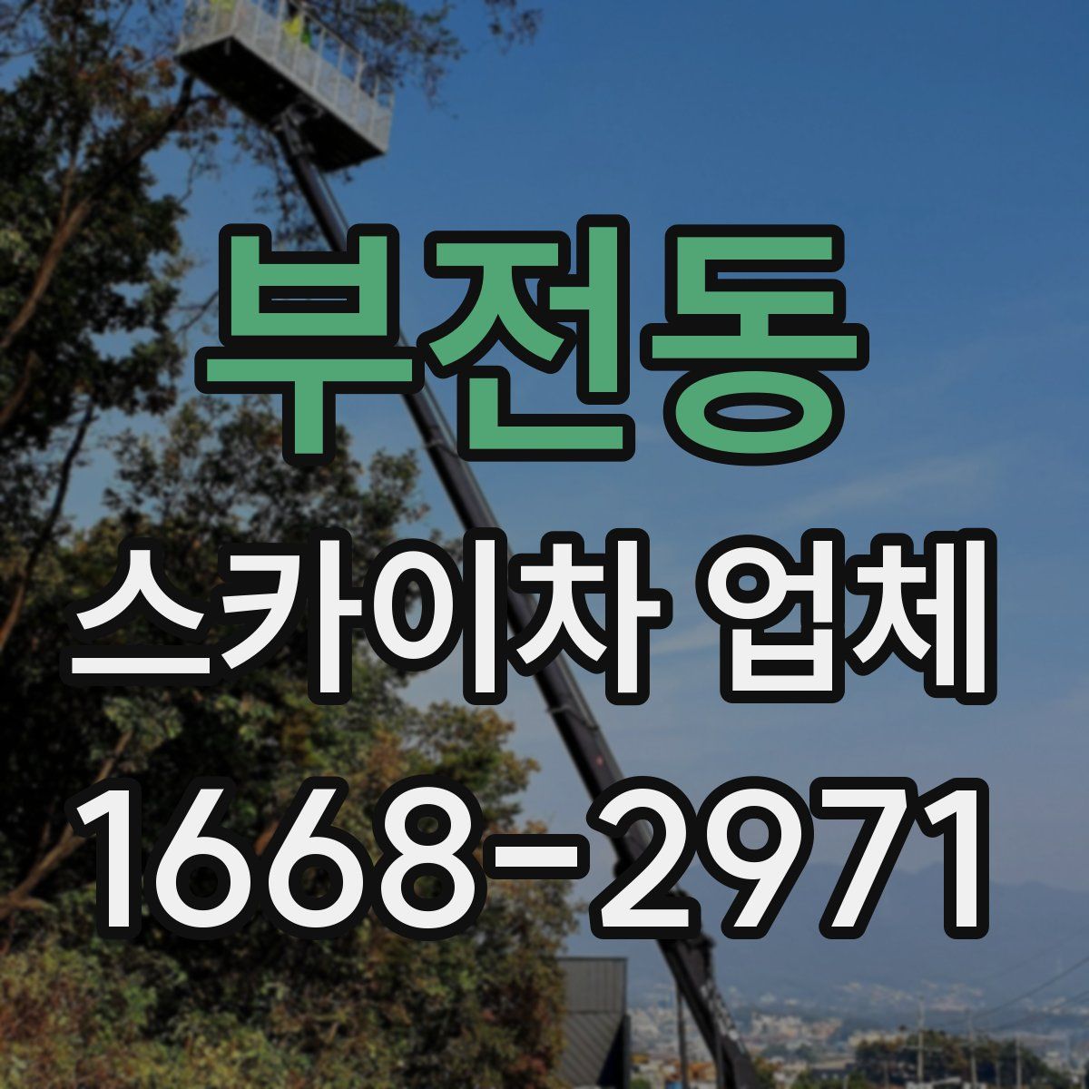 부전동 스카이차 업체