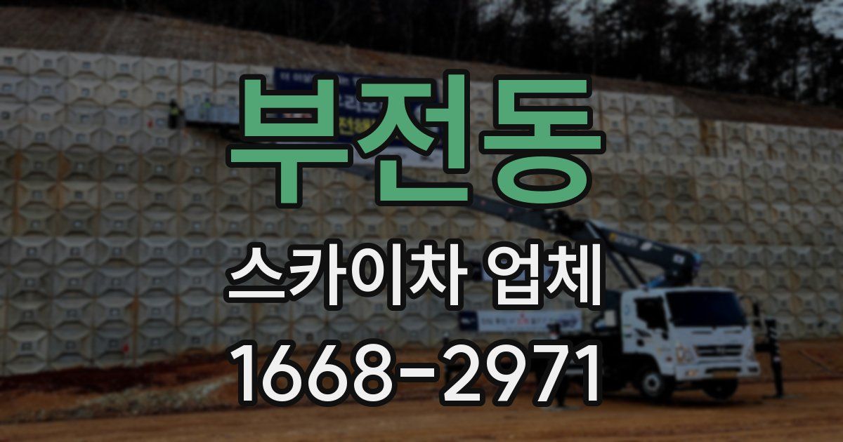 부전동 스카이차 업체