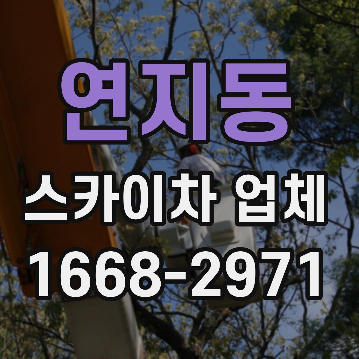 연지동 스카이차 업체
