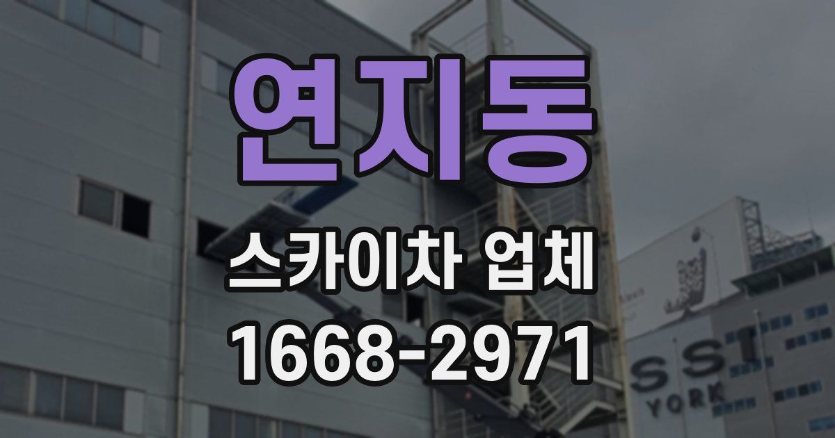 연지동 스카이차 업체