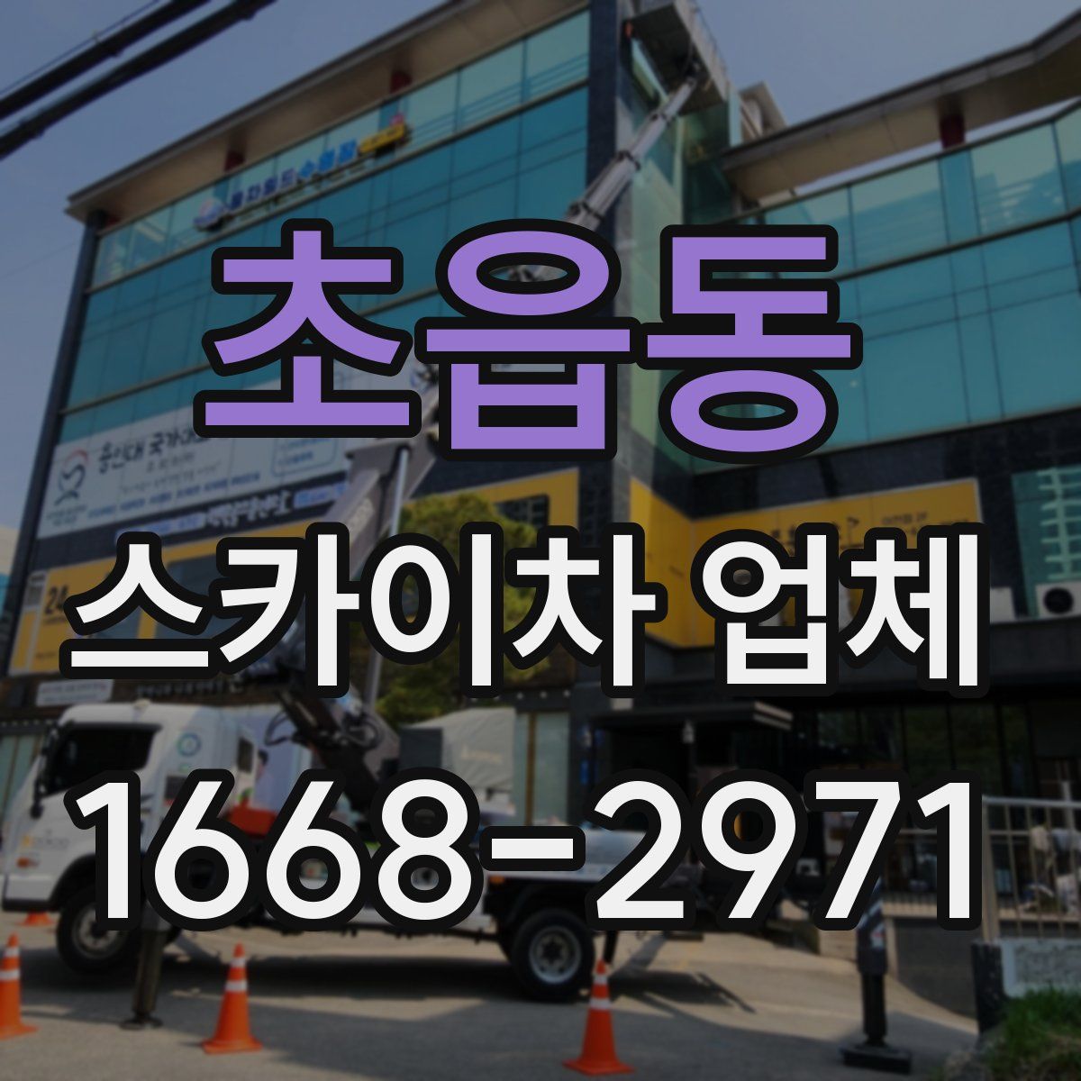 초읍동 스카이차 업체
