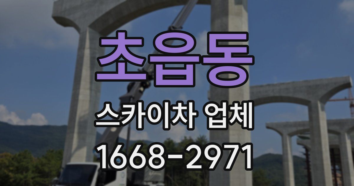 초읍동 스카이차 업체