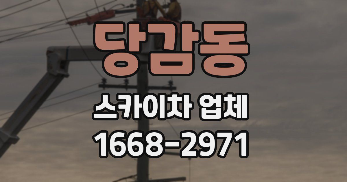 당감동 스카이차 업체