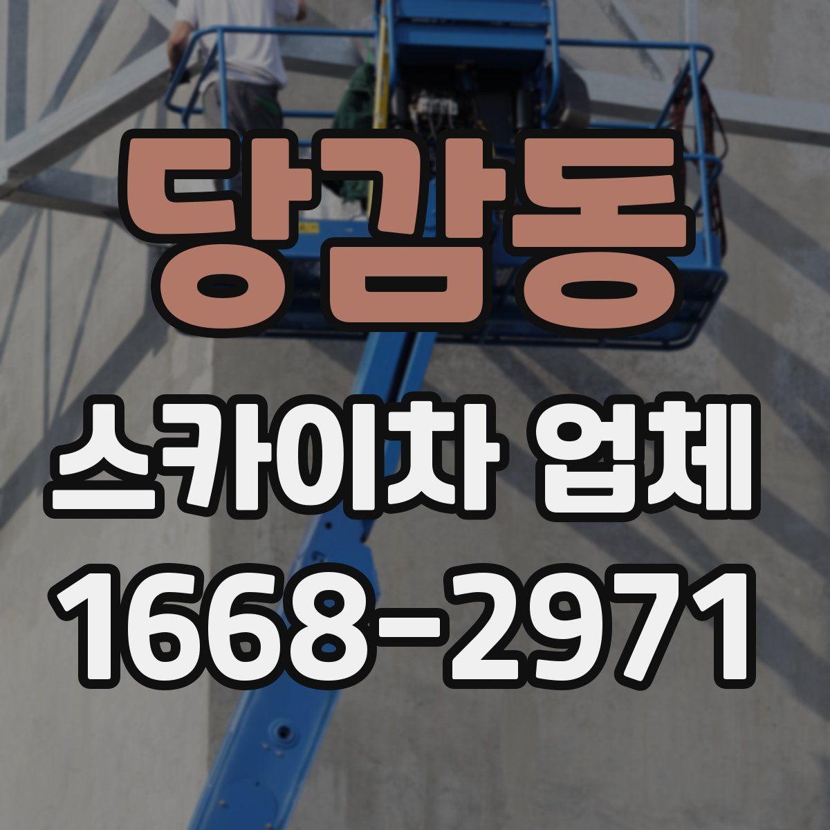당감동 스카이차 업체
