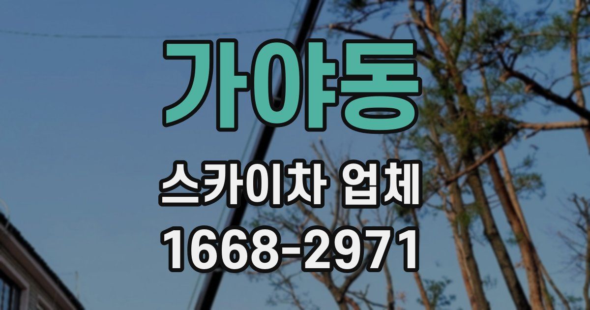 가야동 스카이차 업체