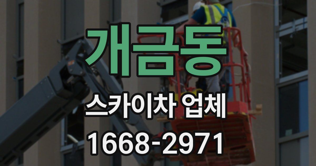 개금동 스카이차 업체