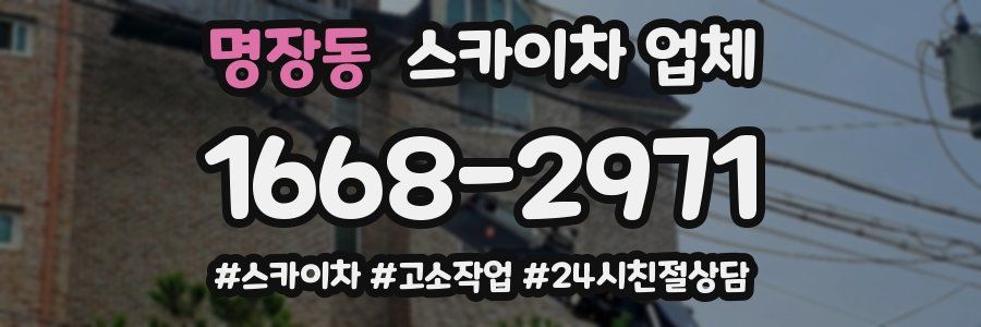 명장동 스카이차 업체