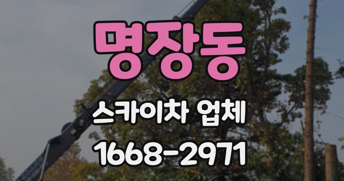 명장동 스카이차 업체
