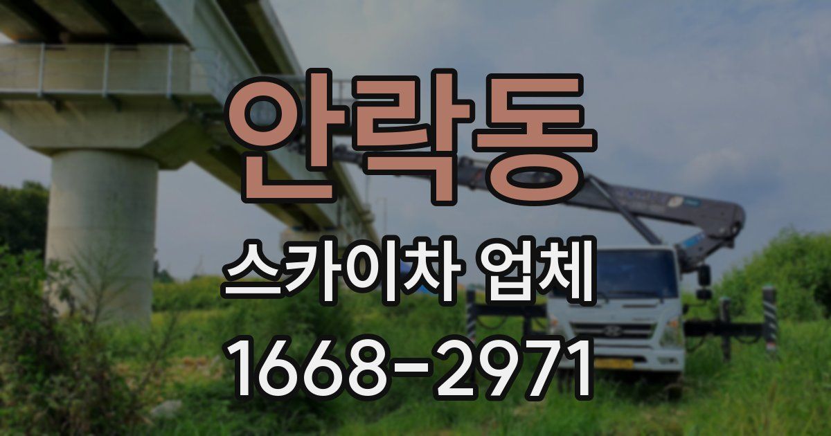 안락동 스카이차 업체
