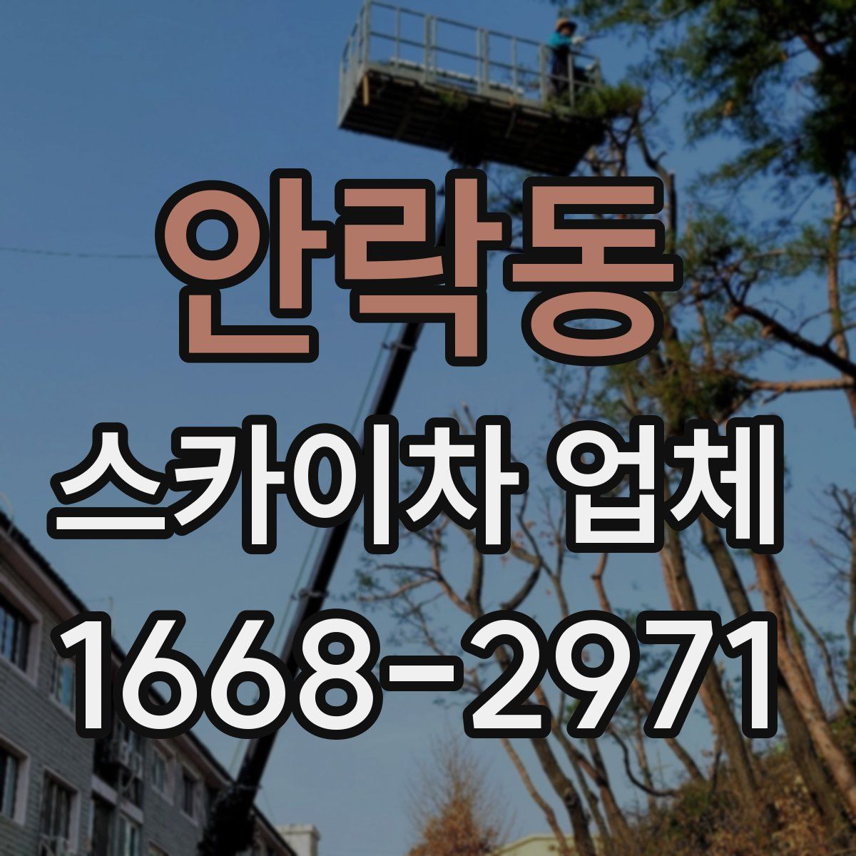 안락동 스카이차 업체