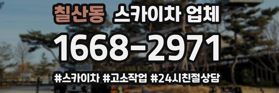 칠산동 스카이차 업체