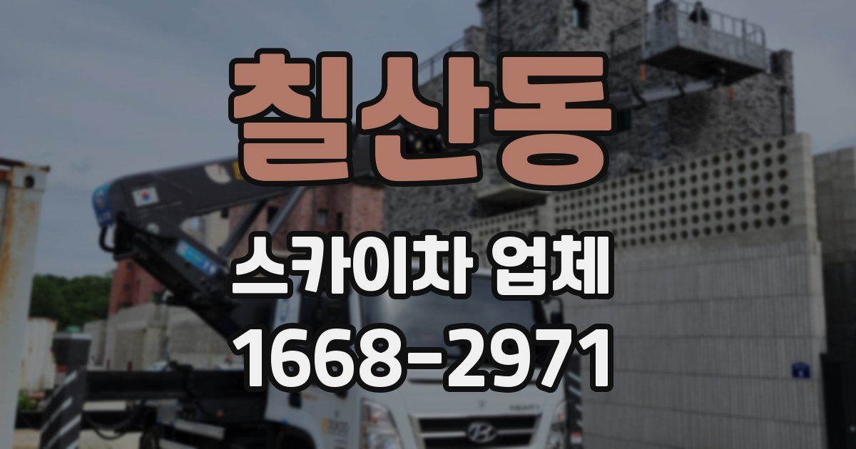 칠산동 스카이차 업체