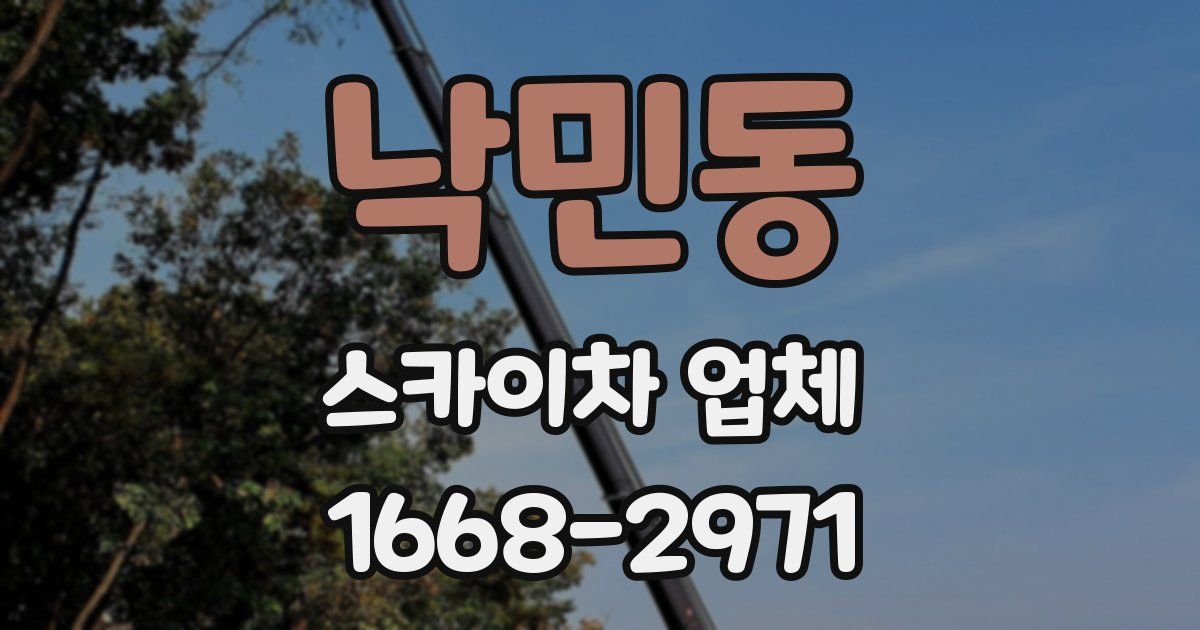 낙민동 스카이차 업체