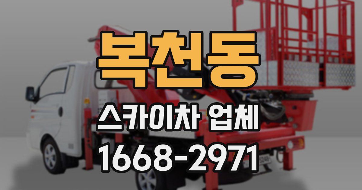 복천동 스카이차 업체