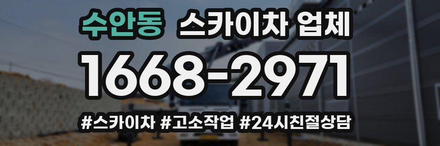 수안동 스카이차 업체