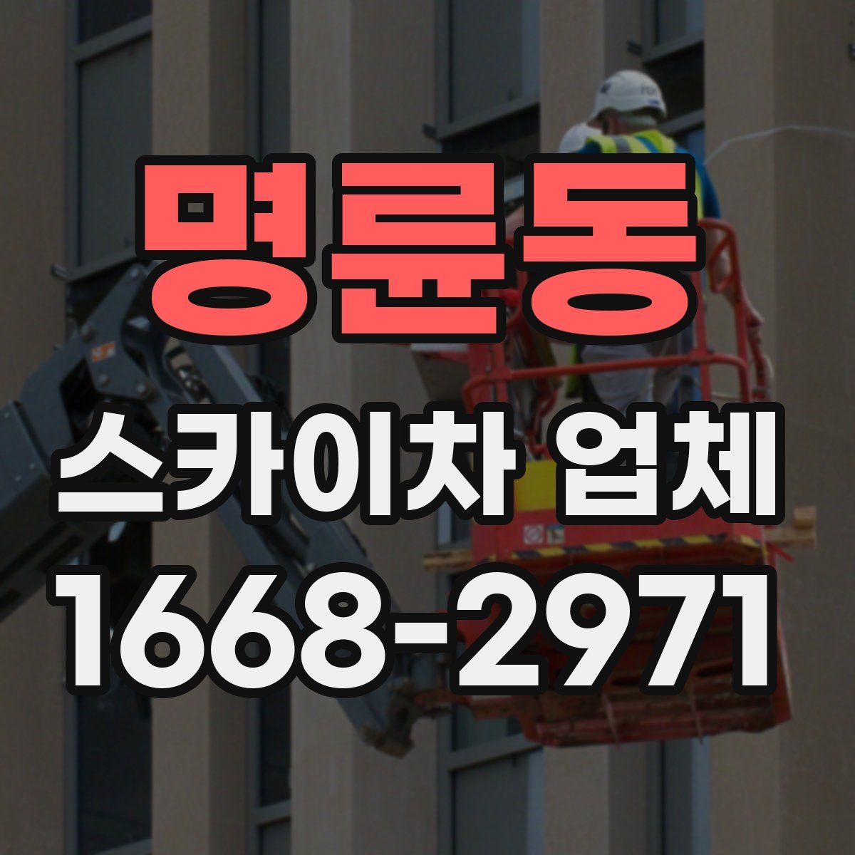 명륜동 스카이차 업체