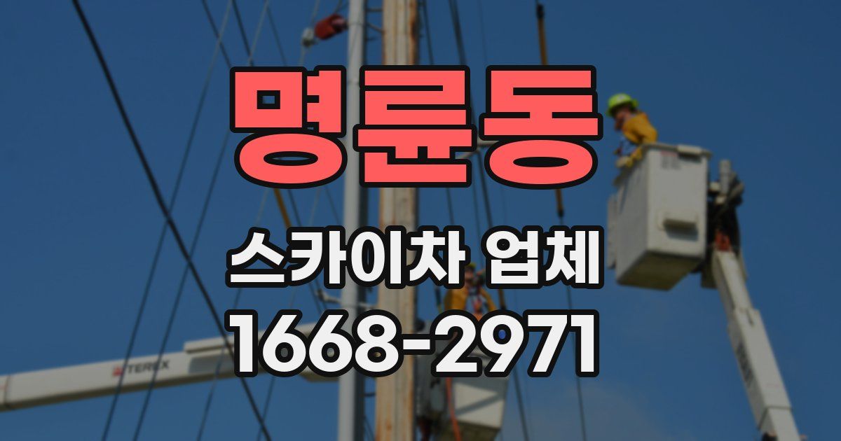 명륜동 스카이차 업체