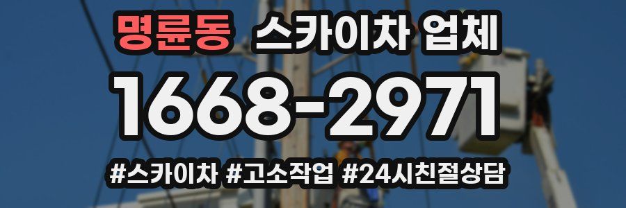 명륜동 스카이차 업체