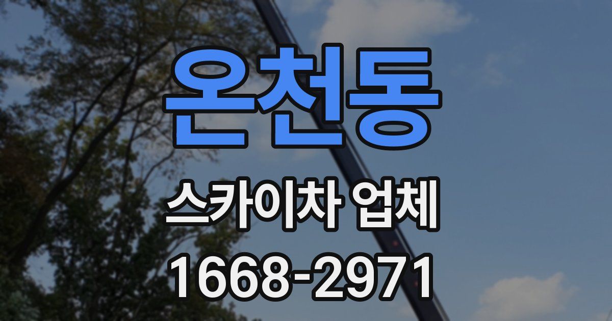 온천동 스카이차 업체