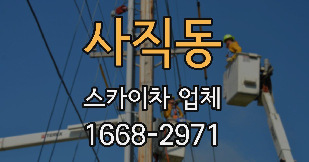 사직동 스카이차 업체