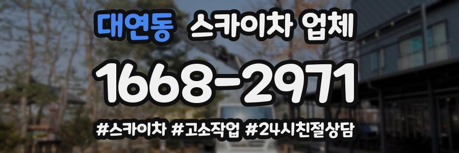 대연동 스카이차 업체