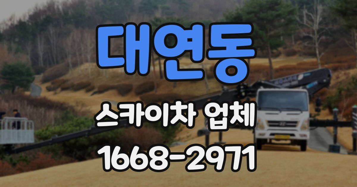 대연동 스카이차 업체