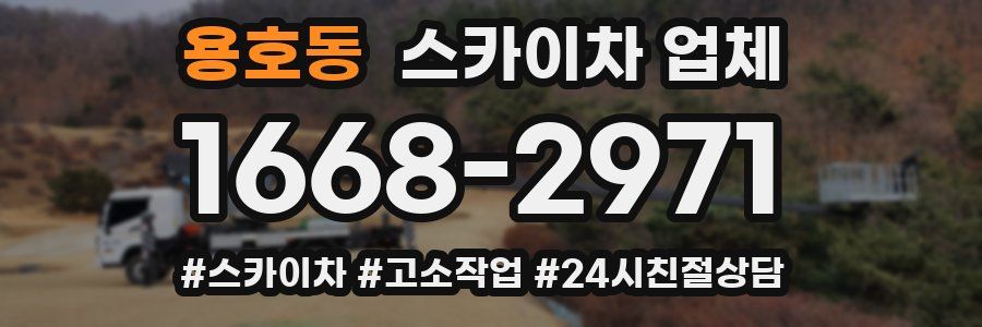 용호동 스카이차 업체