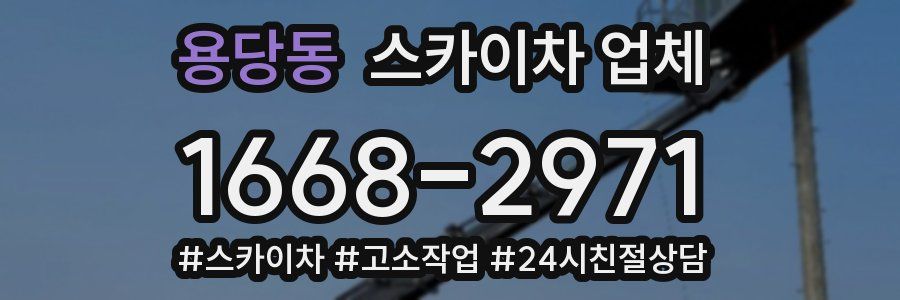 용당동 스카이차 업체