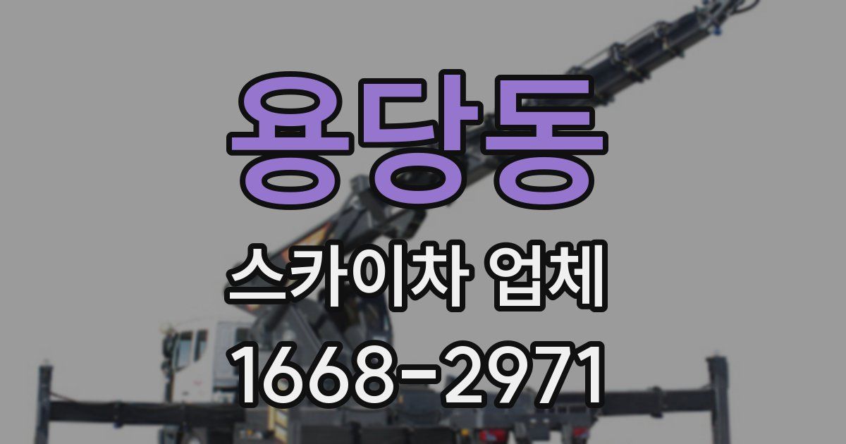 용당동 스카이차 업체