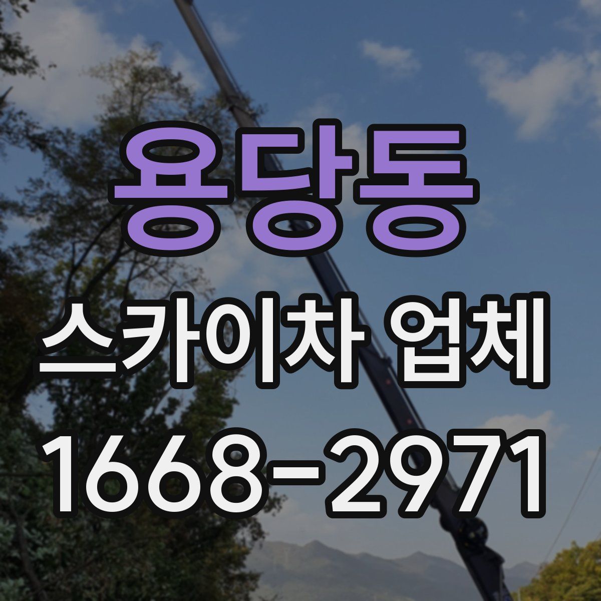 용당동 스카이차 업체