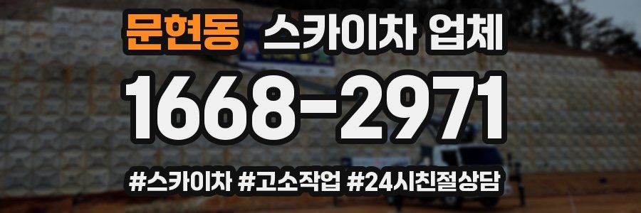 문현동 스카이차 업체