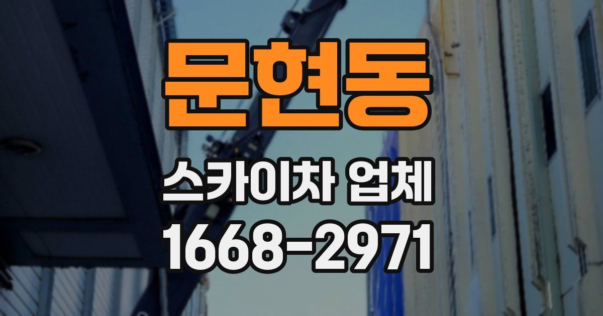 문현동 스카이차 업체