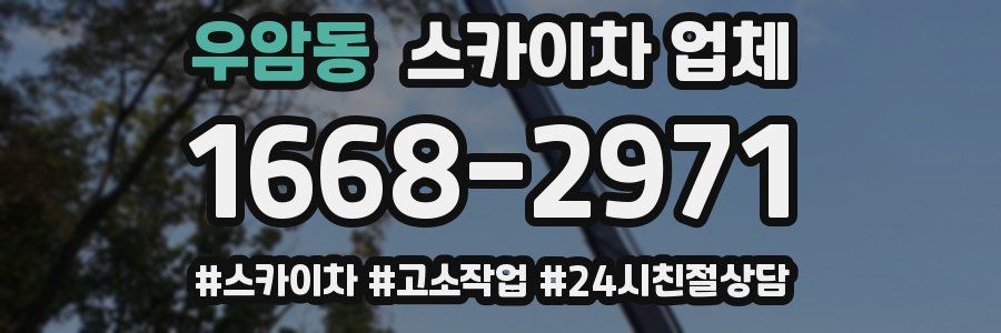 우암동 스카이차 업체