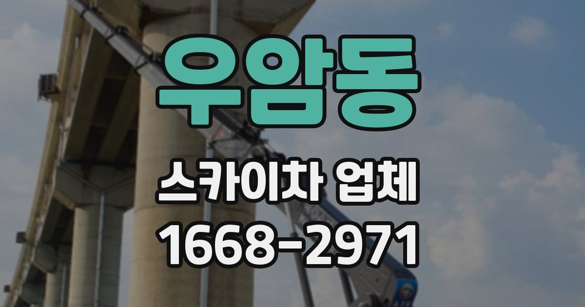 우암동 스카이차 업체