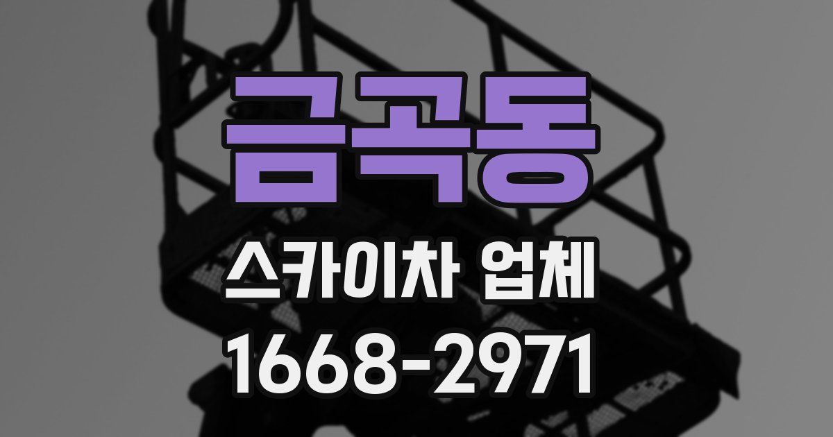 금곡동 스카이차 업체
