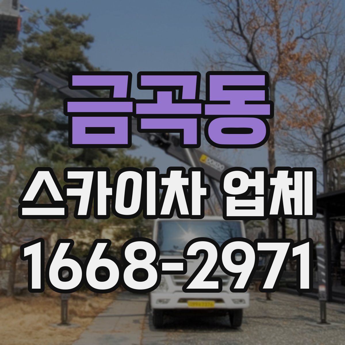 금곡동 스카이차 업체