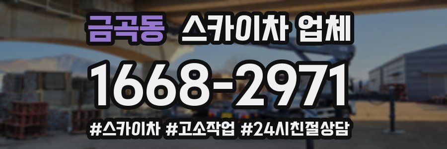 금곡동 스카이차 업체