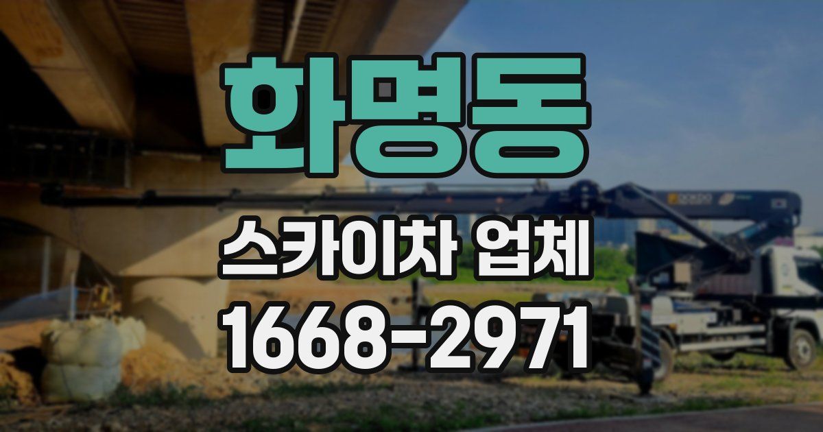 화명동 스카이차 업체