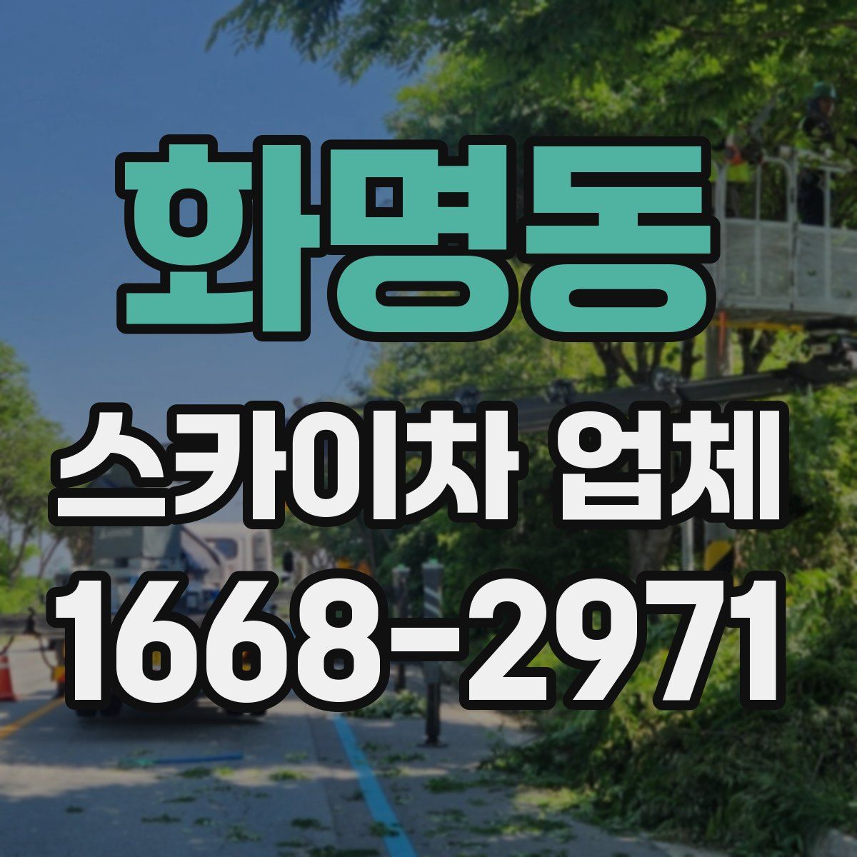 화명동 스카이차 업체