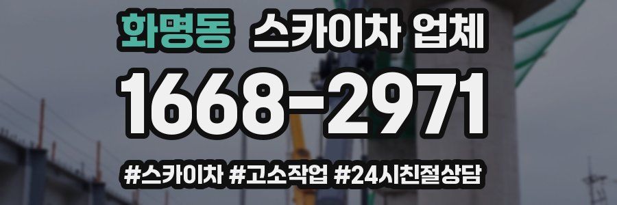 화명동 스카이차 업체