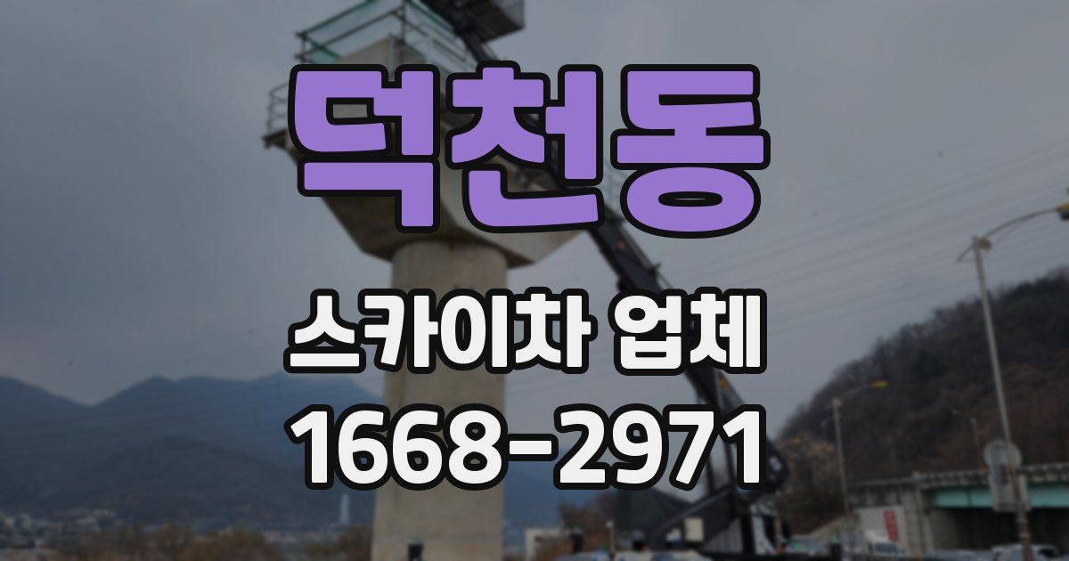 덕천동 스카이차 업체