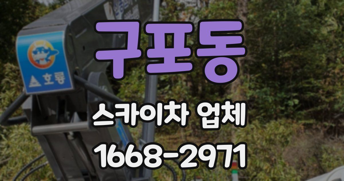 구포동 스카이차 업체