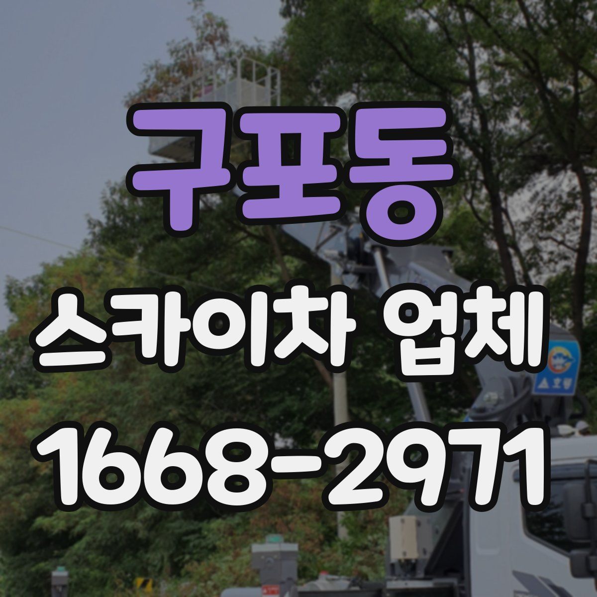 구포동 스카이차 업체