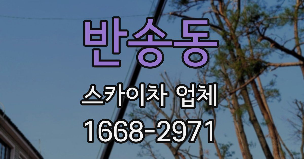 반송동 스카이차 업체