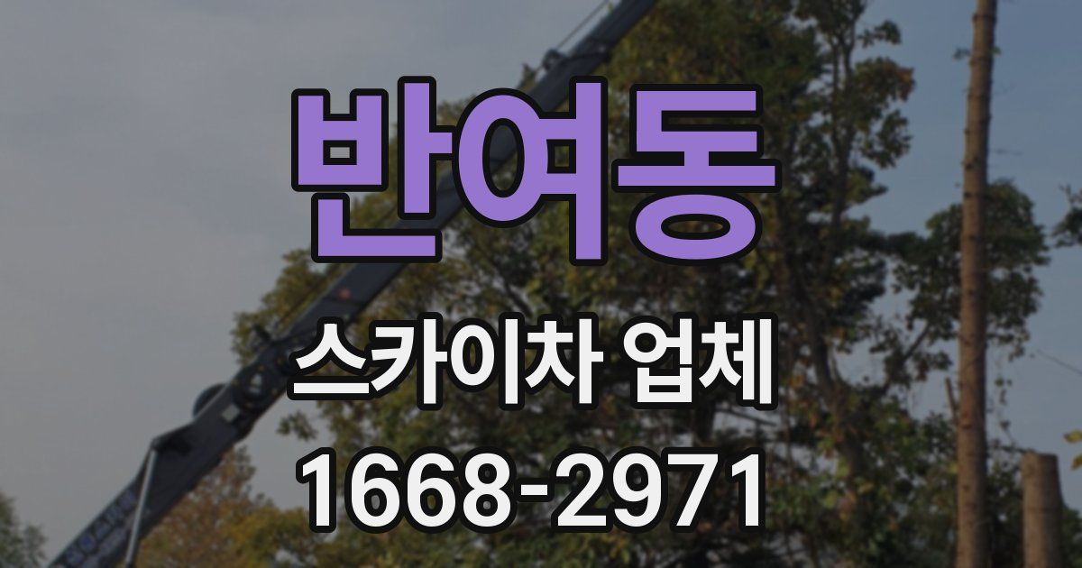반여동 스카이차 업체