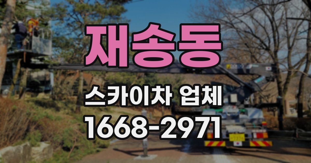 재송동 스카이차 업체