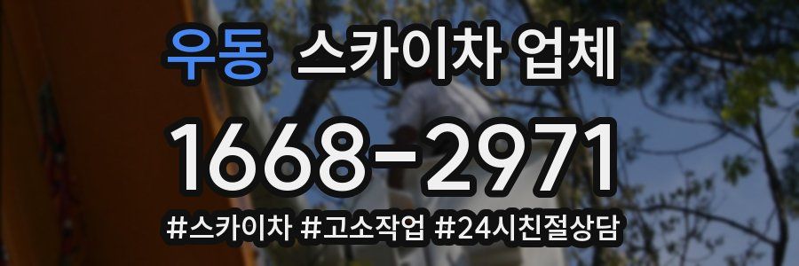 우동 스카이차 업체