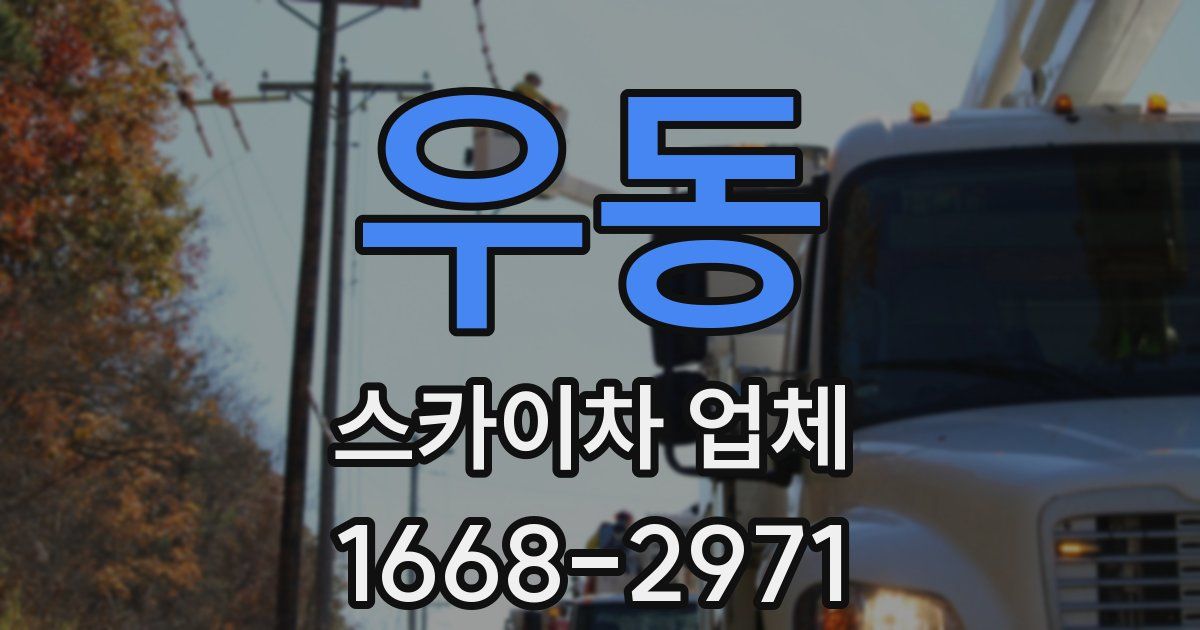 우동 스카이차 업체